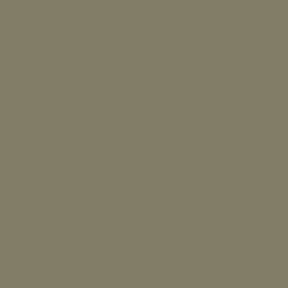RAL 7002 Olivgrau RAL 7002 Olivgrau